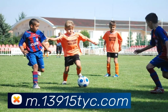 平台使命图